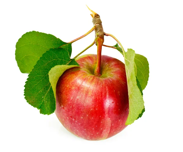Φρέσκα γλυκά νόστιμα κόκκινο μήλο που απομονώνονται σε λευκό φόντο — Φωτογραφία Αρχείου