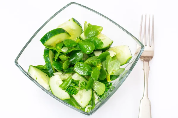 Salat mit Gurke, Portulak auf weißem Hintergrund — Stockfoto