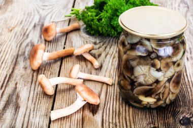 Rustik ahşap adam üzerinde Marine yabani mantar tatlım Agaric