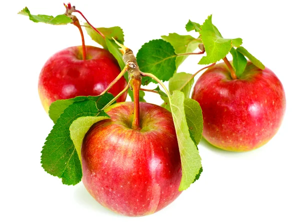 Manzana roja sabrosa dulce fresca aislada sobre fondo blanco — Foto de Stock