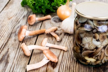 Rustik ahşap adam üzerinde Marine yabani mantar tatlım Agaric