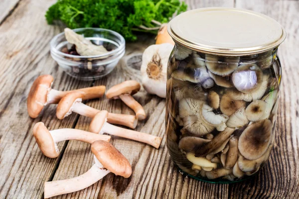 Gemarineerde wilde paddestoelen honing Agaric op rustieke houten pagina — Stockfoto