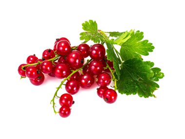 Beyaz üzümlü kırmızı üzümler