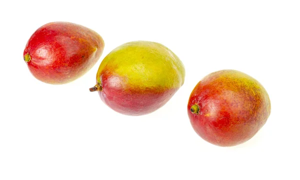 Mango Maduro Jugoso Dulce Rojo Verde Frutos Exóticos Aislados Blanco —  Fotos de Stock