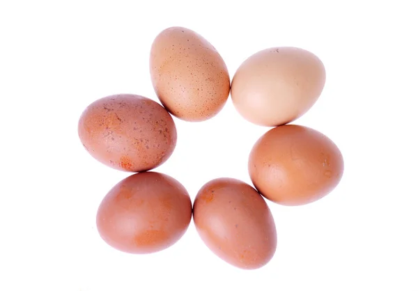 Kahverengi Kabuklu Taze Renkte Tavuk Yumurtası Fotoğraf — Stok fotoğraf