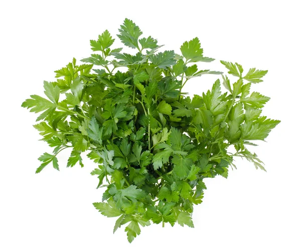 Ein Bündel Frische Grüne Bio Petersilie Gemüse Und Kräuter Studioaufnahme — Stockfoto