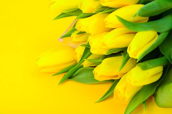 Букет Свежих Желтых Тюльпанов Студия Фото — стоковое фото
