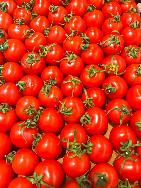 Olgun Vişneli Domateslerin Kırmızı Sebze Arkaplanı Stüdyo Fotoğrafı — Stok fotoğraf