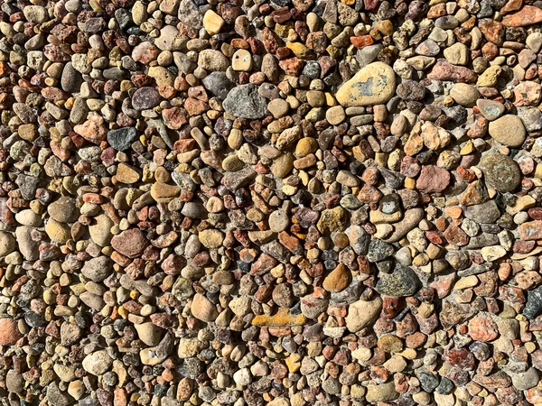 Decorative Wall Small Multi Colored Pebbles Studio Photo — Stock Photo, Image