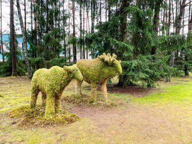 Doğal malzemelerden ormandaki hayvan heykelleri..