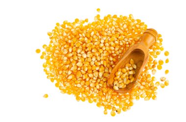 Beyaz arka planda izole edilmiş kuru sarı mısır taneleri yığını. Stüdyo Fotoğrafı