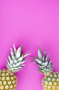 Parlak arka planda tam ananas meyvesi. Stüdyo Fotoğrafı