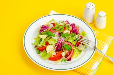 Parlak arka planda hafif vejetaryen salatası. Sağlıklı yaşam tarzı kavramı. Stüdyo Fotoğrafı