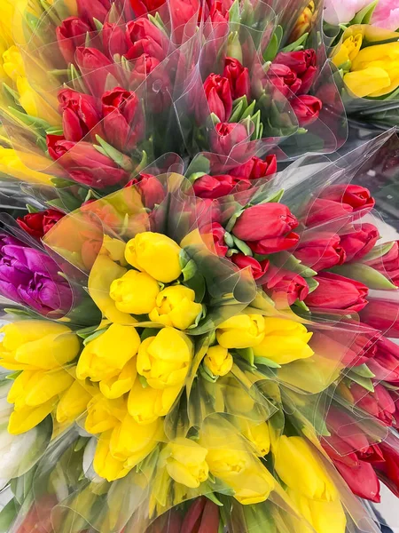 Luxuriöse Sträuße Aus Bunten Tulpen Frühlingsblumen Geschenke — Stockfoto