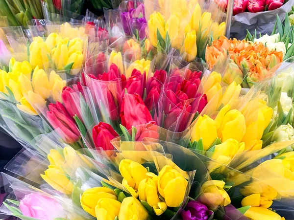 Lujosos Ramos Tulipanes Multicolores Flores Primavera Regalos — Foto de Stock