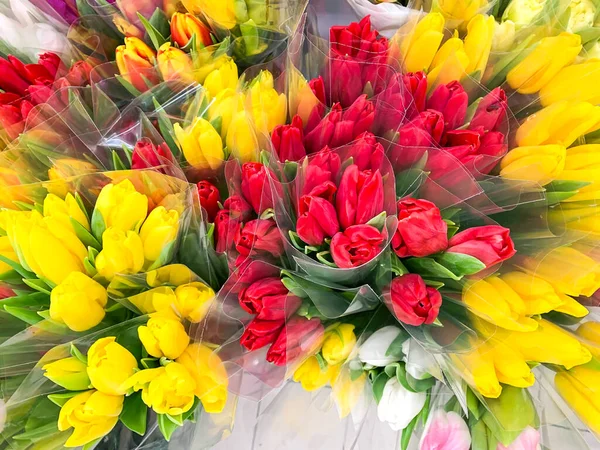 Lujosos Ramos Tulipanes Multicolores Flores Primavera Regalos — Foto de Stock