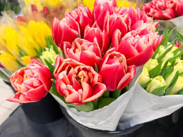 Lujosos Ramos Tulipanes Multicolores Flores Primavera Regalos — Foto de Stock
