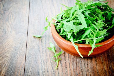 Roka karanlık Woody arka plan üzerinde