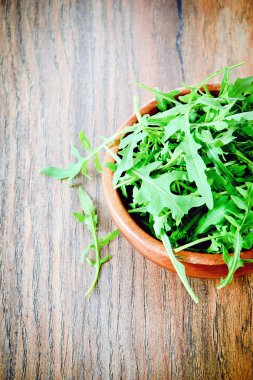 Roka karanlık Woody arka plan üzerinde