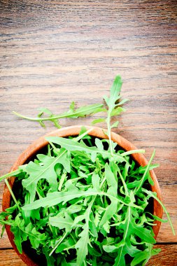 Roka karanlık Woody arka plan üzerinde