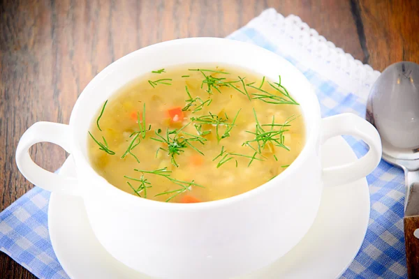 Gemüsesuppe im weißen Teller — Stockfoto