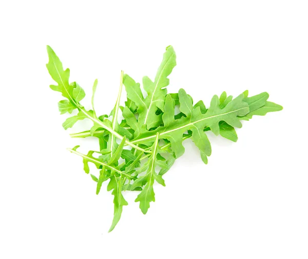 Verde fresco Arugula em fundo branco — Fotografia de Stock