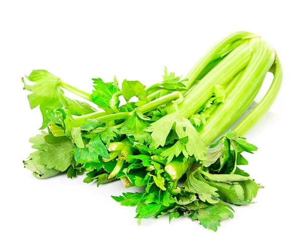 Svěží šťavnaté celer na bílém pozadí — Stock fotografie