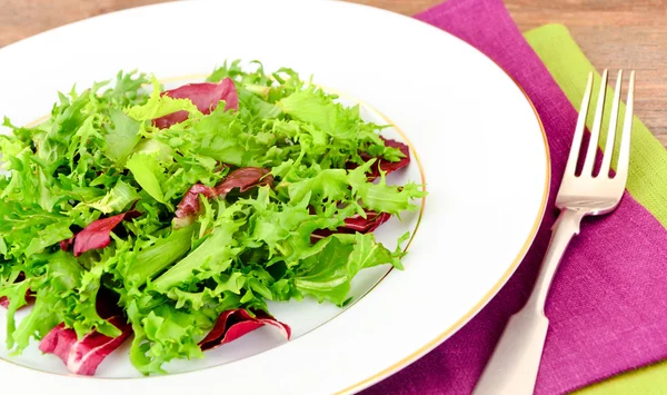 Salata karışımı Batavi, Frise, Radicchio, hindiba ve diyet Mel.