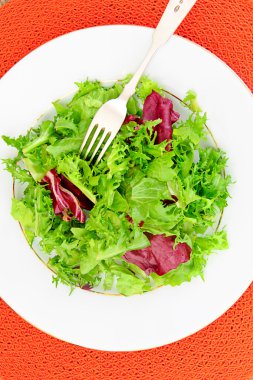 Salata karışımı Batavi, Frise, Radicchio, hindiba