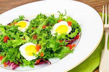 Salata karışımı Batavi, Frise, Radicchio, hindiba, diyet Mel