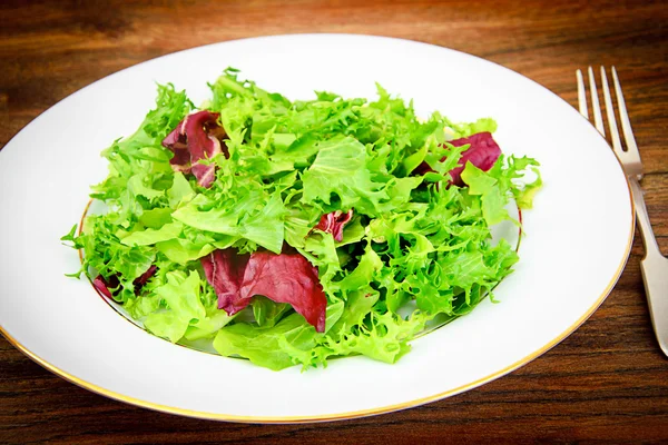 Salade Mix Bataafse, Frise, Radicchio, cichorei — Stockfoto