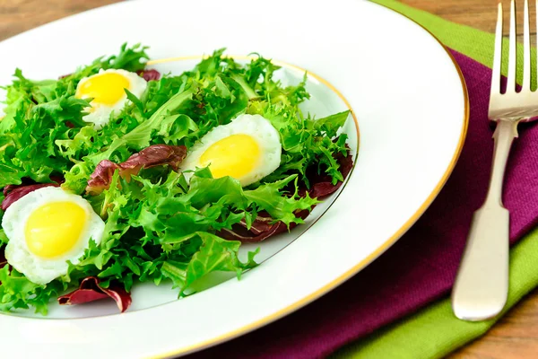 Miscela di insalate Batavian, Frise, Radicchio, Chicory, Dietary Mel — Foto Stock