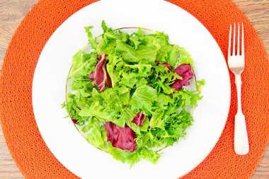 Salata karışımı Batavi, Frise, Radicchio, hindiba
