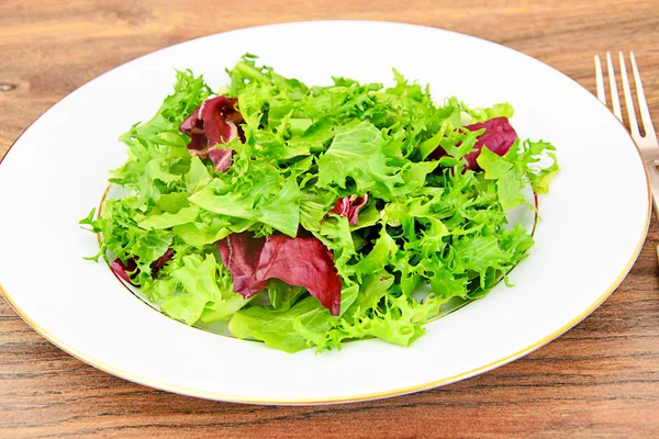 Salade Mix Bataafse, Frise, Radicchio, cichorei — Stockfoto