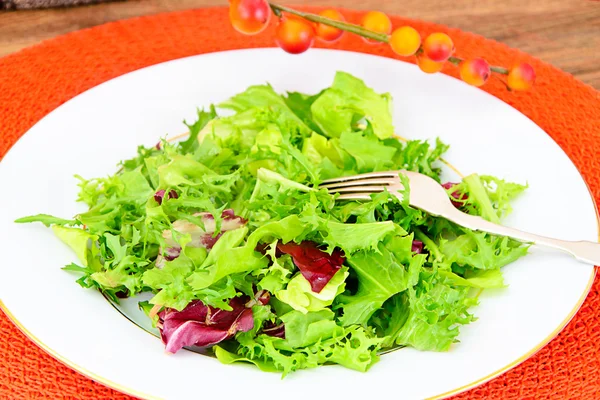 Salad Mix  Batavian, Frise, Radicchio, Chicory — Stock Photo, Image