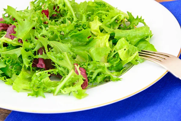 Salade van rucola en granaatappel — Stockfoto