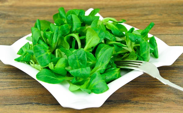 Ensalada fresca verde en la placa . —  Fotos de Stock