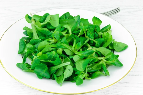 Зеленый свежий салат на тарелке . — стоковое фото