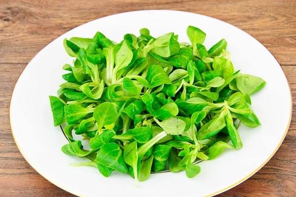 Πράσινη φρέσκια σαλάτα — Φωτογραφία Αρχείου