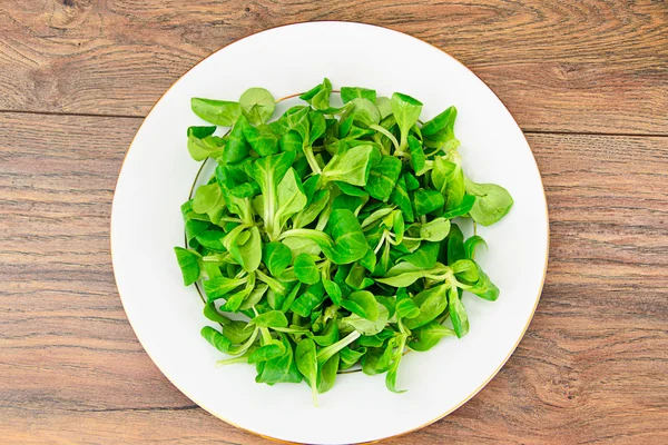 Salade fraîche verte — Photo