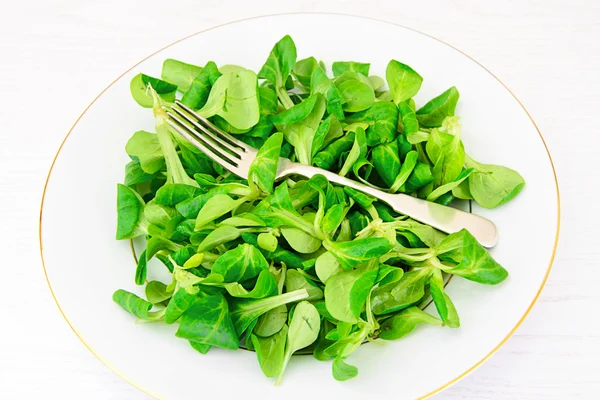 Fräsch grönsallad — Stockfoto