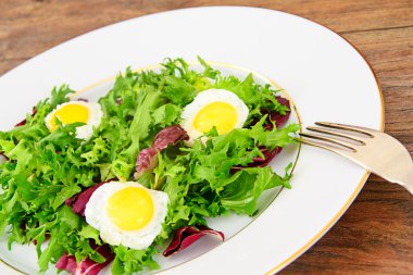Salata karışımı Batavi, Frise, Radicchio, hindiba, diyet Mel sona E