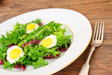 Salata karışımı Batavi, Frise, Radicchio, hindiba, diyet Mel sona E