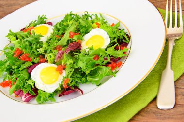 Salata karışımı Batavi, Frise, Radicchio, hindiba, diyet Mel sona E
