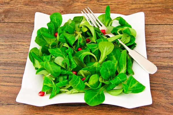 Fräsch grönsallad — Stockfoto