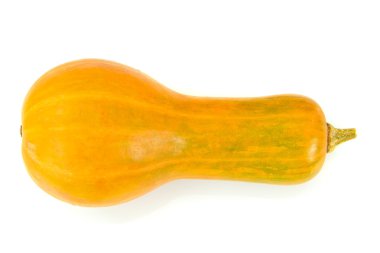 Taze olgun balkabağı. Sağlıklı beslenme için sebze.