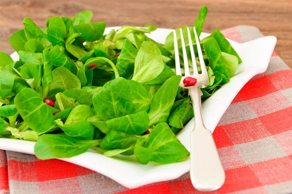 Fräsch grönsallad på tallrik. — Stockfoto