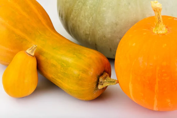 Fresh Ripe Pumpkin. Vegetables for Healthy Diet. — Stock Photo, Image