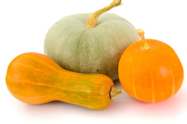 Fresh Ripe Pumpkin. Vegetables for Healthy Diet. — Stock Photo, Image