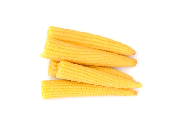 Isolated Mature Tasty Boiled Corn. — Stock Photo, Image